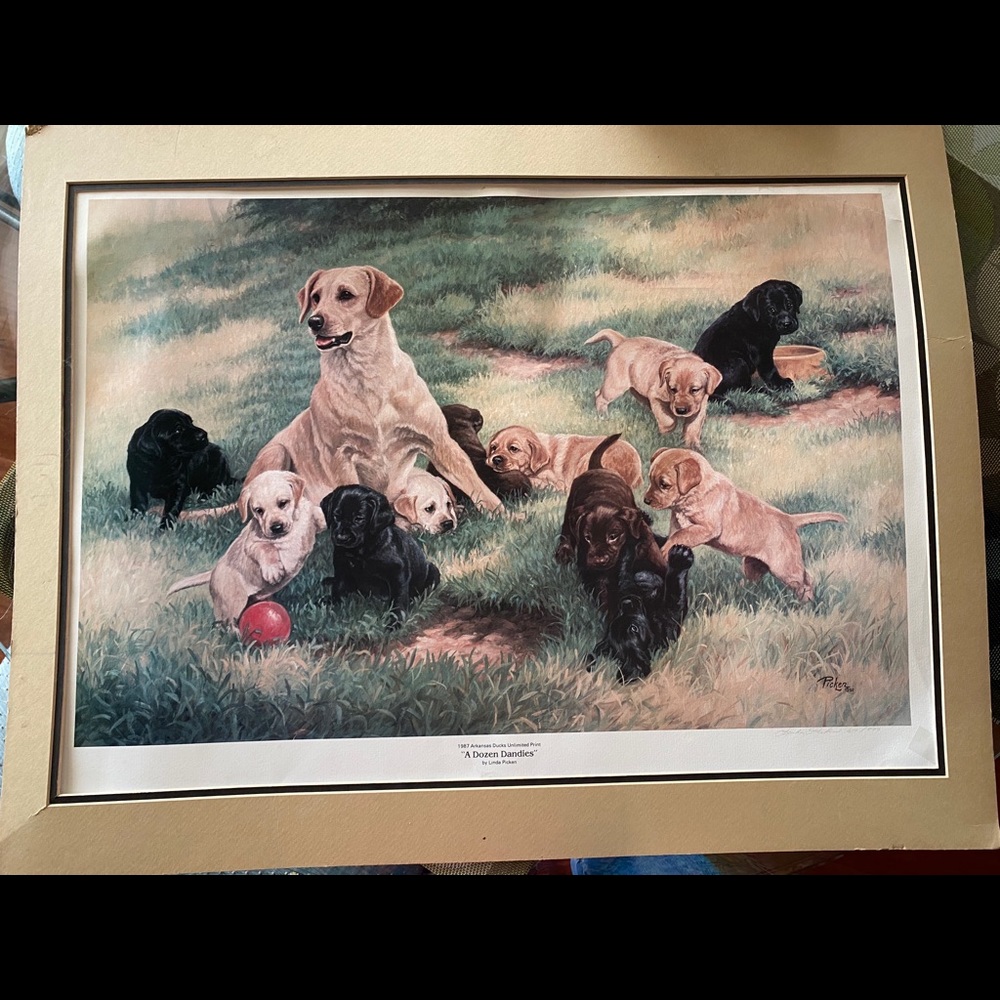 Print by Linda Picken